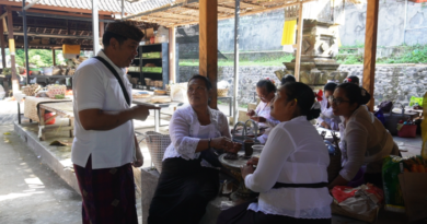 Jelang Karya di Pura Samuantiga, Krama Adat Bedulu Mulai “Ngayah”