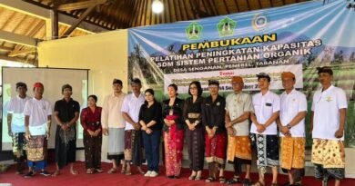 Realisasi Program Yunnan Hand in Hand, JPDWI Beri Pelatihan Sistem Pertanian Organik di Desa Senganan